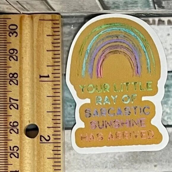 🌀10/$10🌀 Sarcasm Sarcastic Quote Reusable Waterproof Vinyl Sticker Decal - Picture 1 of 2